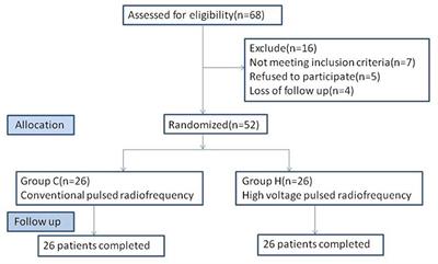 Effective Treatment of Postherpetic Neuralgia at the First Branch of the Trigeminal Nerve by High-Voltage Pulsed Radiofrequency